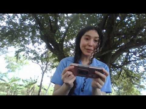 Speaking practice activity