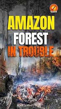 UN Warns: Nature Is Now Fueling Climate Change | Biodiversity Crisis Explained