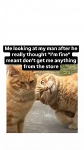 follow ❤️ #memes #relatable #relationships #bf #gf #relationshipgoals #relationshipsmemes #funny | Bae.banter