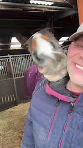 83K views · 5.1K reactions | Any und Wilma was will man da noch zu sagen 藍嵐 | Sebastian Marx | Facebook