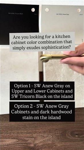 Kitchen Cabinet Moodboard with Sherwin Williams Anew Gray and Tricorn Black