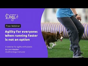 FREE Webinar: Agility for everyone: When running faster is not an option