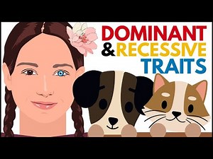 Dominant & Recessive Traits Explained | Eye Colors, Genes, and Examples in Humans, Plants & Animals