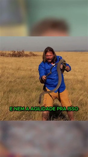 Encounter with One of the World's Deadliest Snakes #biologohenrique #richardrasmussen #shorts