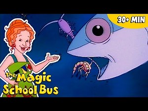 What Is the Food Chain? | Science for Kids | The Magic School Bus