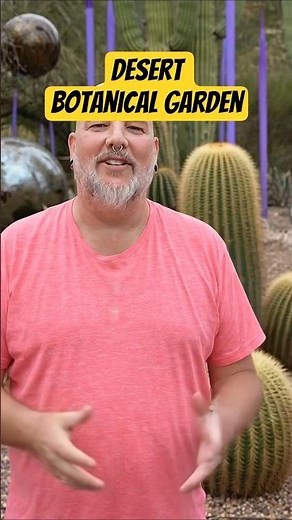 Desert Botanical Garden: DON'T MISS This 50,000 Desert Plant Oasis