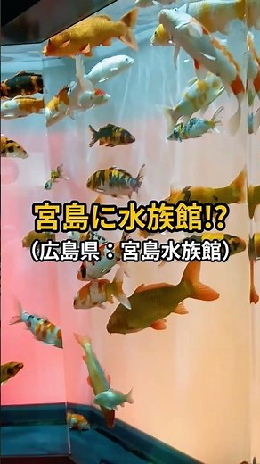 [Touring tourist spots all over Japan] I made a discovery I didn't know about: Miyajima Aquarium