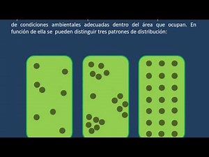 Distribución Espacial