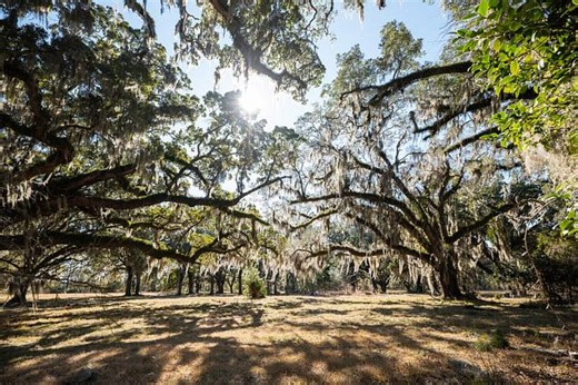 2 Mauricena Rd, Georgetown, SC 29440 | Estately 🧡 | MLS# 26000366