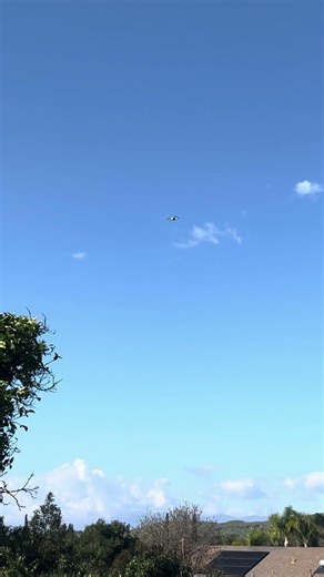 Drone 🛸 Over The Back Yard #shorts #drone #sky