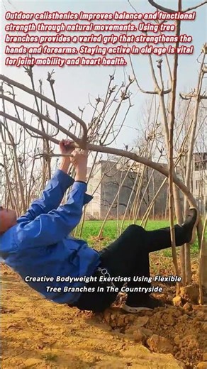 Creative Bodyweight Exercises Using Flexible Tree Branches In The Countryside