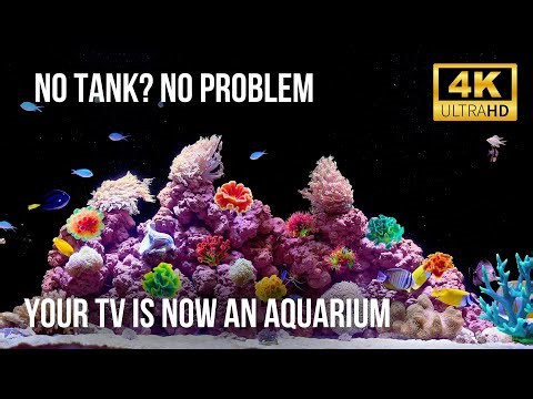 🧘‍♂️ 4K Aquarium Fish Tank: Ultimate Relaxing Water Sounds for Sleep & Meditation (12 Hours)