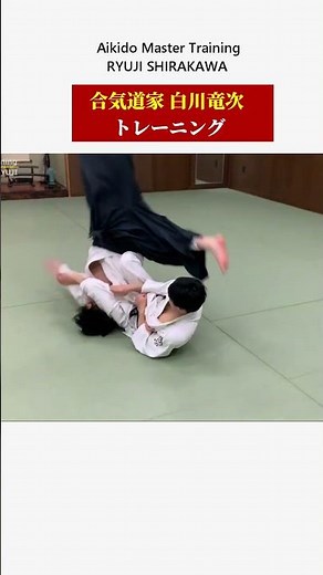 Incredible Aikido Master Training!