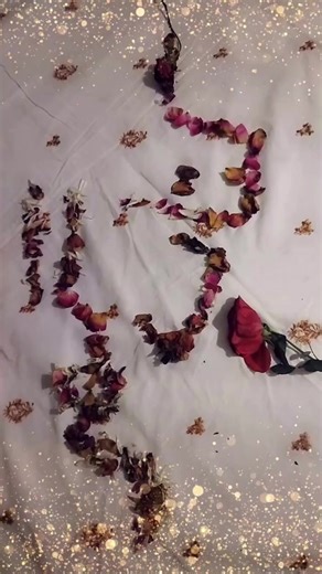 Rabia Bashir شکریہ حبیبی | Kitaab Ghar