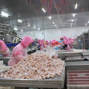 [Hot Item] Halal Chicken Slaughter Muslim Slaughterhouse Poultry Defeathering System Processing and Cutting Machine