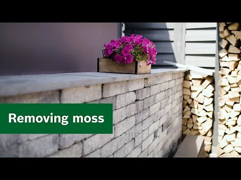 Garden knowledge: Removing moss effectively