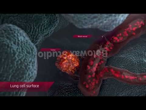 3D Tumor Cell & MOA Animation | Cancer Therapy Mechanism Visualization | Belowax Studio