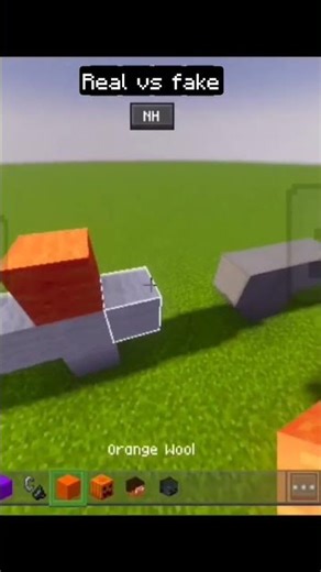 Minecraft real vs fake #minecraft #memes #funny