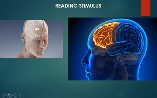 BRAIN-COMPUTER INTERFACE (Mechanism)