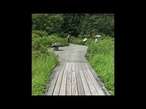 高原へいらっしゃい2