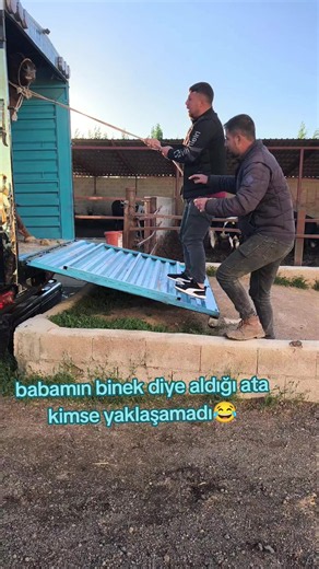 #çavuşoğlu #besicilik #kacann at