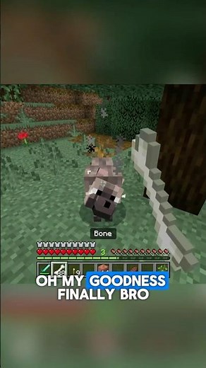 I found every wolf variant in Minecraft. #minecraft #gaming #challenge
