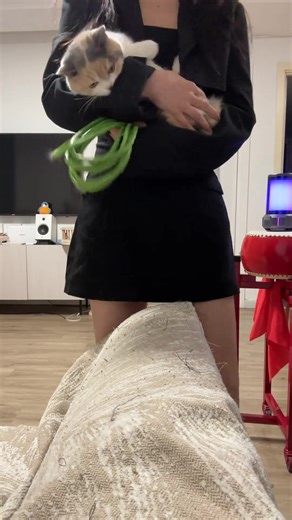 Debunking Animal Abuse Myths in Videos