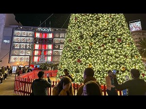 San Francisco Christmas Lights 2022 🎄Christmas Walking Tour - San Francisco Night Walk [4k HDR]