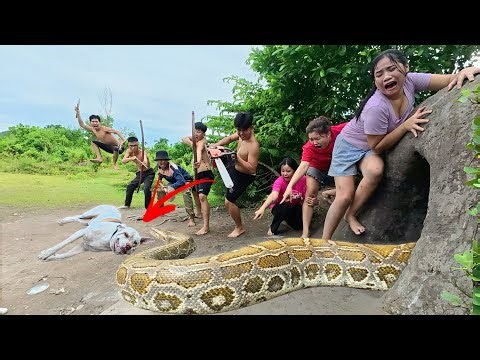 Emergency Call 5 Brave Hunters Rescue Pitbull Caught in Cave by Ferocious Giant Python