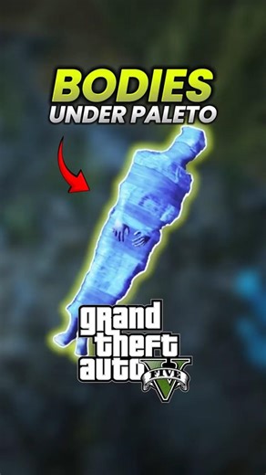 Nobody Talks About the Bodies From The Infinite 8 Mystery