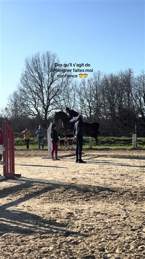 Qualité number one🫵🏼 #cso #cheval #equitation #cavaliere