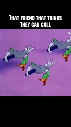 What call do you use? What decoys do you like? Don’t butcher the call #funny #duckdecoys #duck