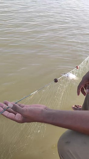 Fishing Techniques: Handling Fish and Nets Strategically