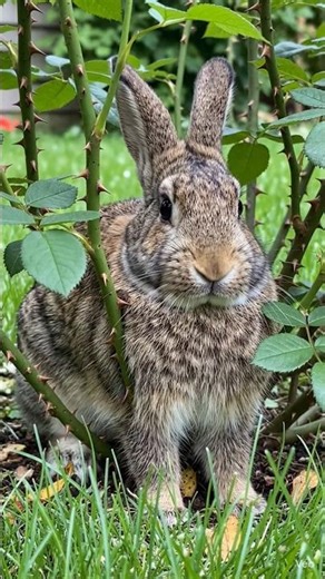 #photography अगर चाहो तो मैं तुम्हारे लिए👉 direct AI image prompts (copy-paste ready)👉 या CapCut में