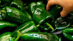 What Do Poblano Peppers Taste Like? Everything You Need To Know - Whimsy & Spice