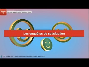 D13.3 Satisfaction surveys