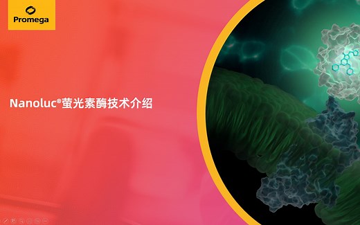 Nanoluc荧光素酶技术介绍
