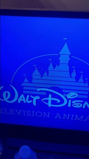 Walt Disney Television Animation Logo (2005)