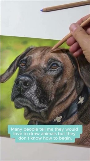 Don’t know how to start drawing animals with pastel pencils?