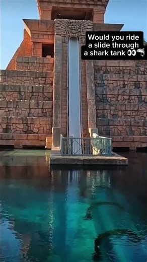 Atlantis shark slide in the Bahamas 🇧🇸🦈😮 #sharks #bahamas