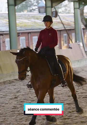 Montée d'un nouveau cheval avec Mathilde & Sligo