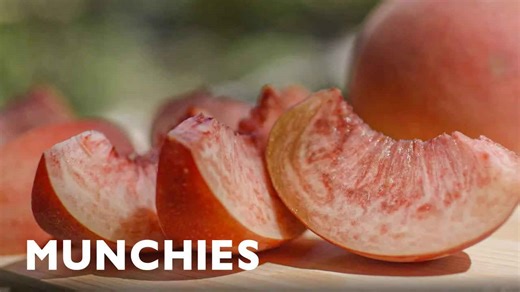 Japan’s Farming After a Nuclear Disaster | Counter Space (Clip)