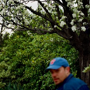 Jul 16, 2022: Pitchfork Music Festival at Union Park Chicago, Illinois, United States | Concert Archives