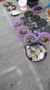 Medyo mahal pa ang prisyo sa umaga Bagsak prisyo sa patanghali #seafood | Roger Traya