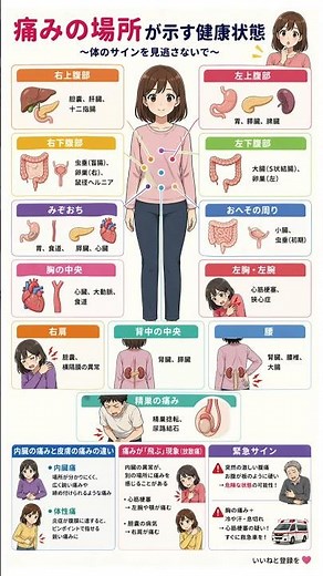 その痛み、内臓のSOSかも？痛む場所でわかる健康状態と病気のリスク｜右肩・背中・みぞおち……場所が分かりにくい「内臓痛」の見極め方を徹底解説！