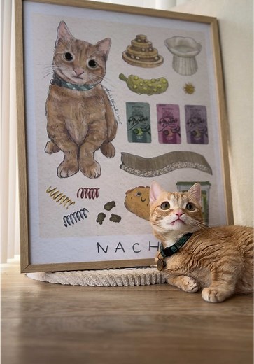 Get Your Custom Pet Portrait from Quipils!