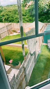 136K views · 555 reactions | The best window cleaning hack #fyp #clean #wash #lifehack | Right Guys Reviews | Facebook