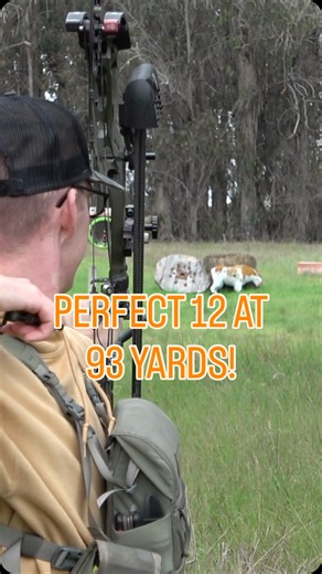 Meza Outdoors on Instagram: "A PERFECT 12 at 93 YARDS with the Bowtech! #archery #archeryhunting #bowandarrow #compoundbow #archer"