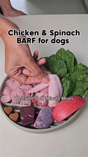Nadia & Reggie | Mom & Dog Adventures on Instagram: "Chicken & Spinach BARF recipe for dogs (The recipe below is to make a 1kg portion) - 700g of chicken breast (chopped) - 100g of chicken wings - 27 g beef liver - 27g beef spleen - 30 g spinach (pounded so that it will be easier for your dog to digest) - 30 g apple (minced) Typical feeding guide for BARF diets for dogs PUPPIES: 3% - 6% of their body weight per day - Most fast growing puppies/kittens are fed 6% of their body weight daily. Rememb