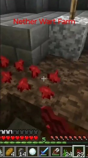 nether wart farm